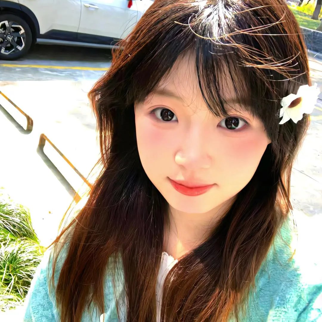红壳的潘多拉